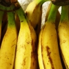 Best Bananas for Banana Juice and How to Choose Them