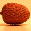 Best Lychees For Lychee Juice And How To Choose Them