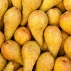 Best Pears For Pear Juice And How To Choose Them
