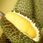 Durian Juice