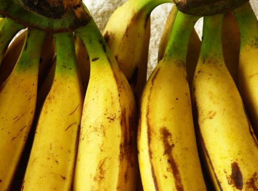 best bananas for juicing
