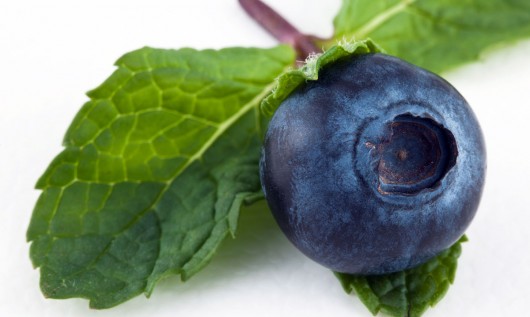 Best blueberries for juice