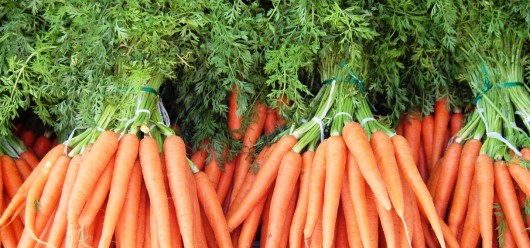 best carrots for juicing