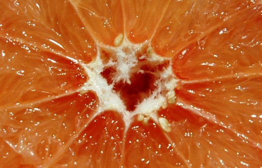 best grapefruits for juicing