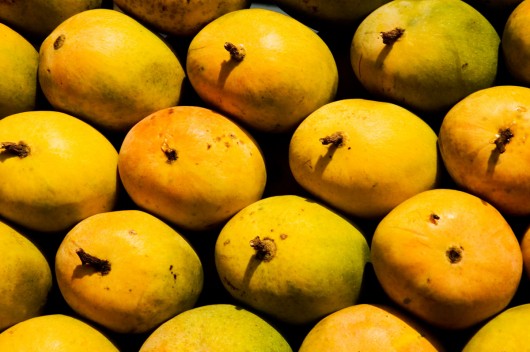 best mangoes for juicing