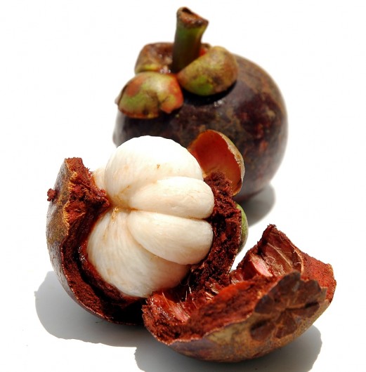 best mangosteens for juicing