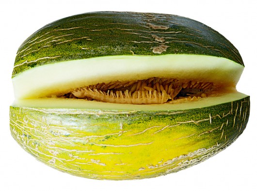 best melons for juicing