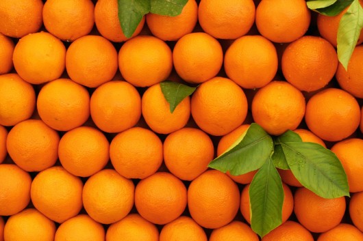 best oranges for juicing