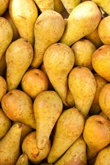best pears for juicing