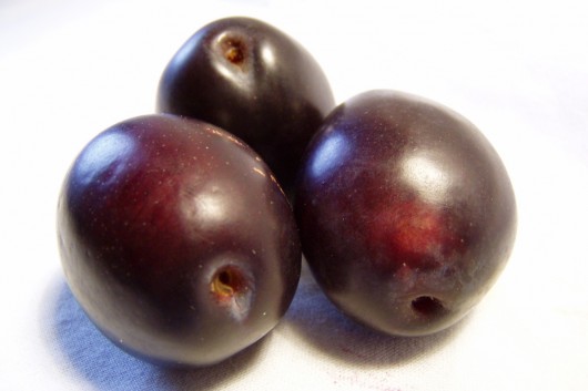 best plums for juicing