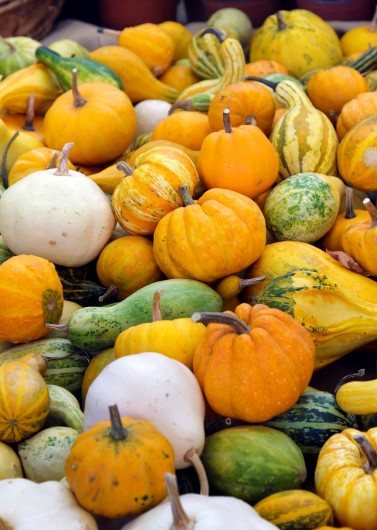 best pumpkins for juicing