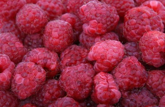 best raspberries for juicing