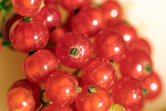 best redcurrants for juicing