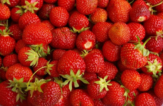 best strawberries for juicing