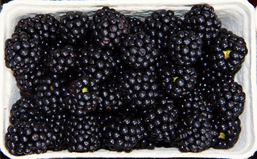 Best blackberries for juicing