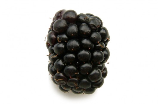 Blackberry for blackberry juice
