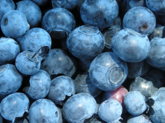 Blueberries and their health benefits