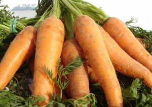 carrots 300x212 Carrots
