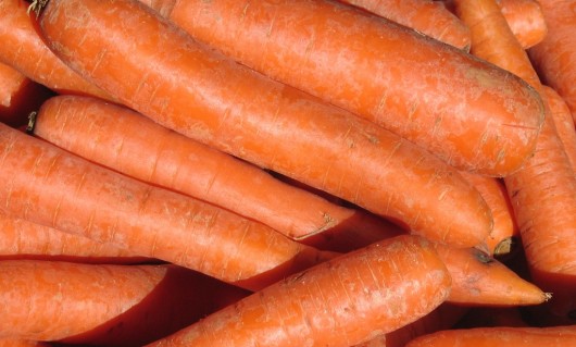 Carrots for carrot juice