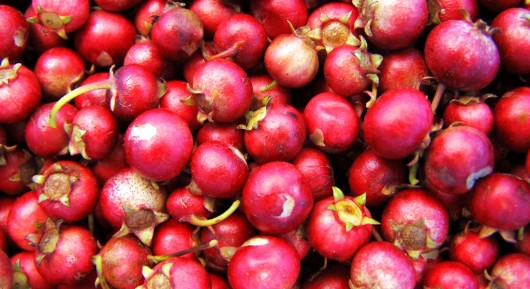 Health benefits of cranberry juice Health benefits of cranberry juice
