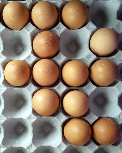 eggs