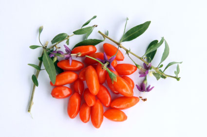 Fresh goji berries