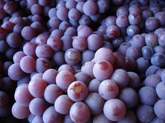 Grapes