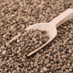 Hemp contains all 21 known amino acids, including the 9 that the human body needs to build proteins, making it a “complete” protein source.