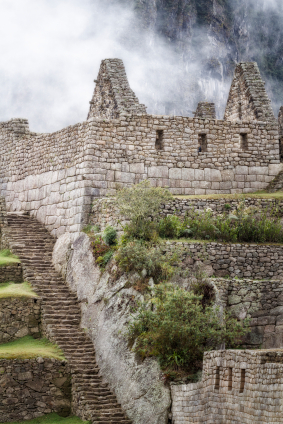 Quinoa was one of the most popular grains in the Inca empire.