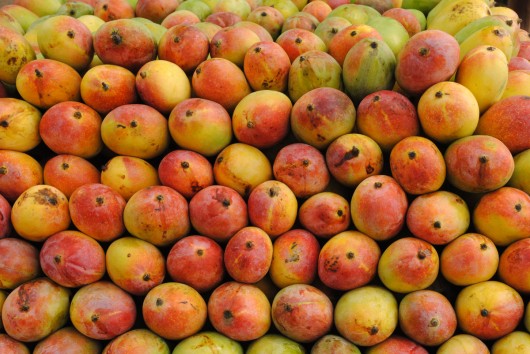 Health benefits of mango juice
