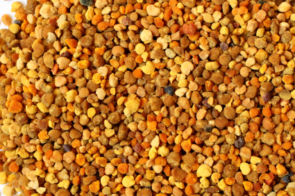 Closeup of propolis grains.  The color of the propolis varies with each region and the native plants and trees.