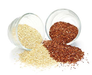 Red and white quinoa grain.