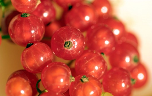 Redcurrants